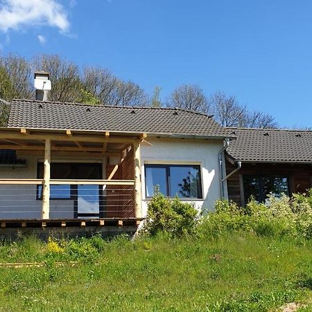 Apartman Nezichov Toužim Kültér fotó